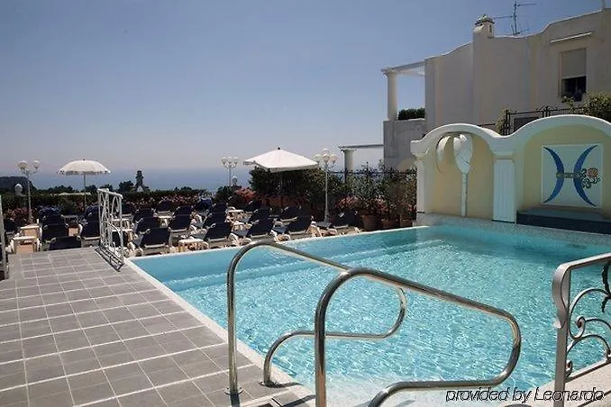 Sina Flora 卡普里