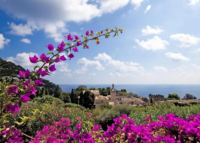 Sina Flora 酒店 卡普里