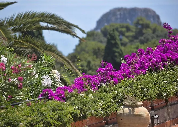 酒店 Sina Flora 4*