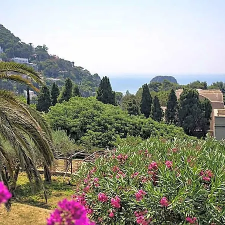 Sina Flora Hotel 4*