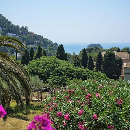 Hotel Sina Flora
