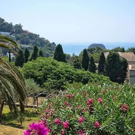 Sina Flora Hotel
