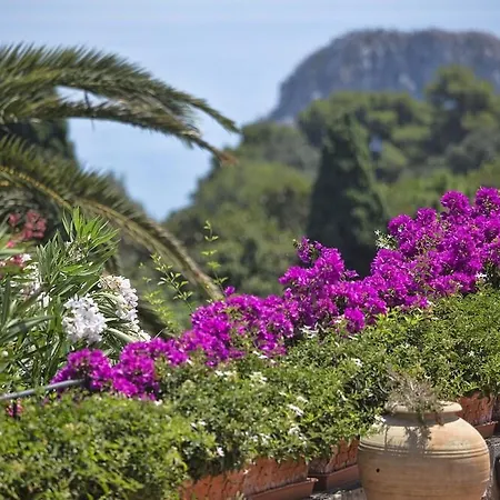 Hotel Sina Flora 4*